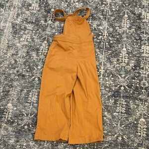 Patagonia Women's Brown Jeans Overalls